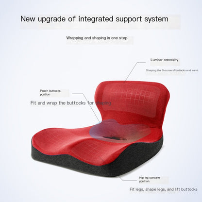 Chair Cushion with Back Support